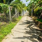 Bán đất vườn 1.500m² view sông Ba Lai Phú Túc 1,2 tỷ - Ảnh thu nhỏ 2