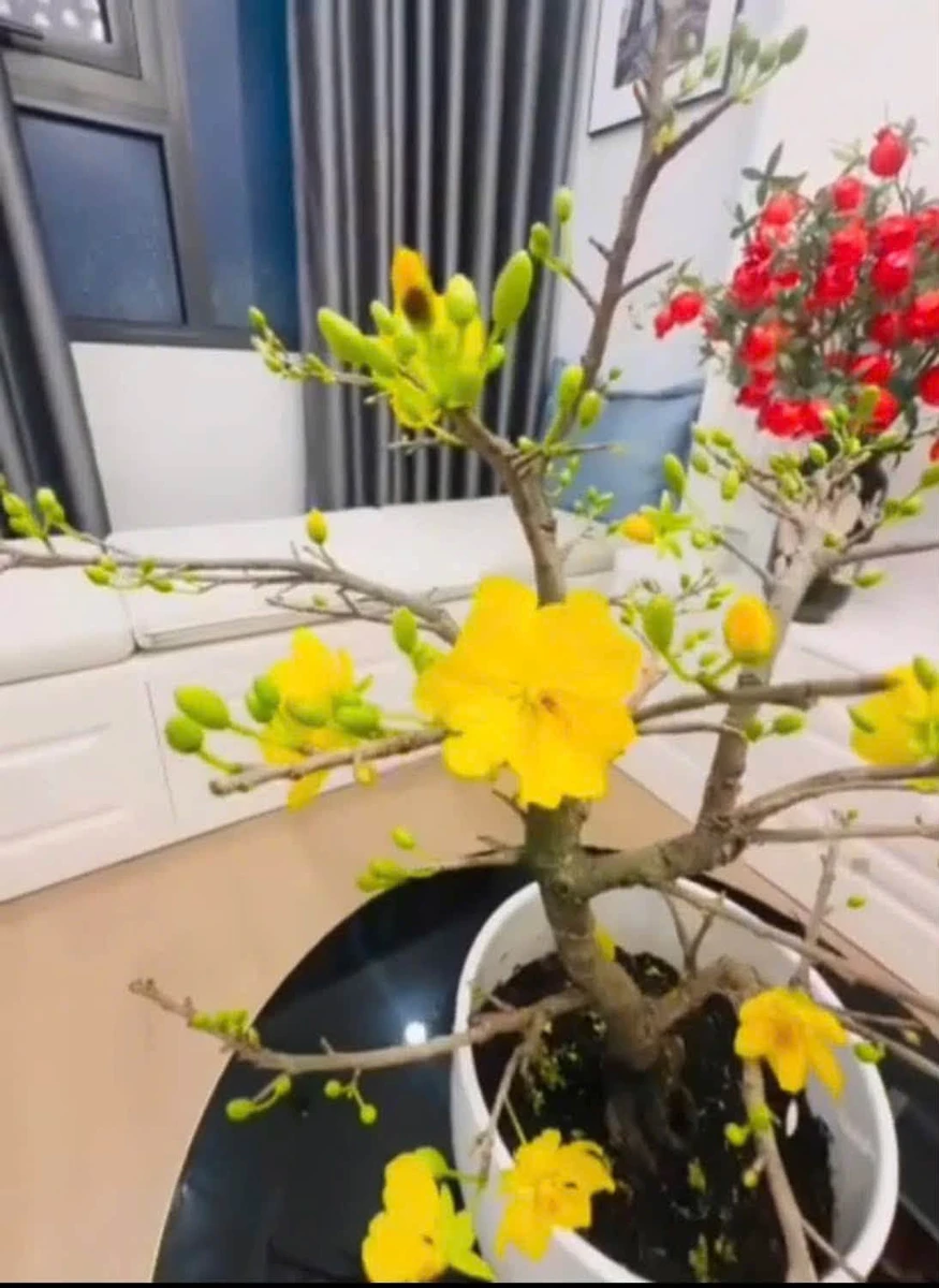 Bán căn góc Vinhomes 2PN 67.5m² giá 3 tỷ TP. Vinh - Ảnh thu nhỏ 3