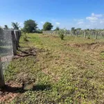 Bán đất cây trồng 850m² Hàm Liêm gần Phan Thiết - Ảnh thu nhỏ 2
