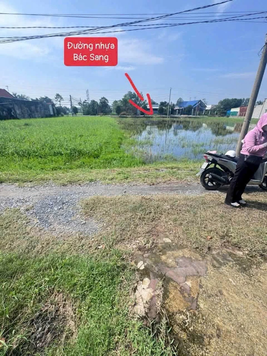 Bán đất Mỹ Hạnh Nam 348m² giá 1 tỷ 3 - Ảnh thu nhỏ 2