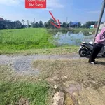 Bán đất Mỹ Hạnh Nam 348m² giá 1 tỷ 3 - Ảnh thu nhỏ 2