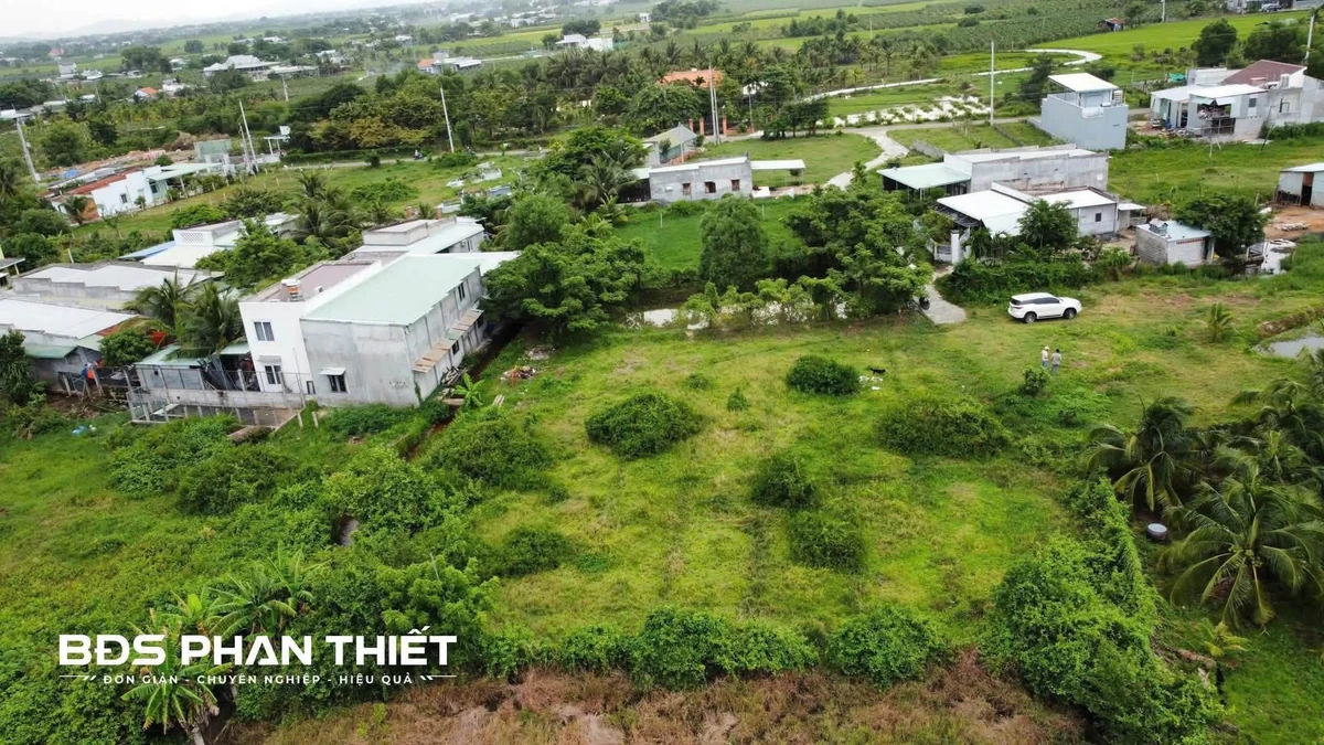 Bán đất trống 1.660 m² giá 1 tỷ 660 triệu tại Hàm Liêm, Lâm Đồng - Ảnh 1