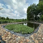 Bán đất 2300m2 view tại Xã Kim Long, Nhà Bè - Ảnh thu nhỏ 1