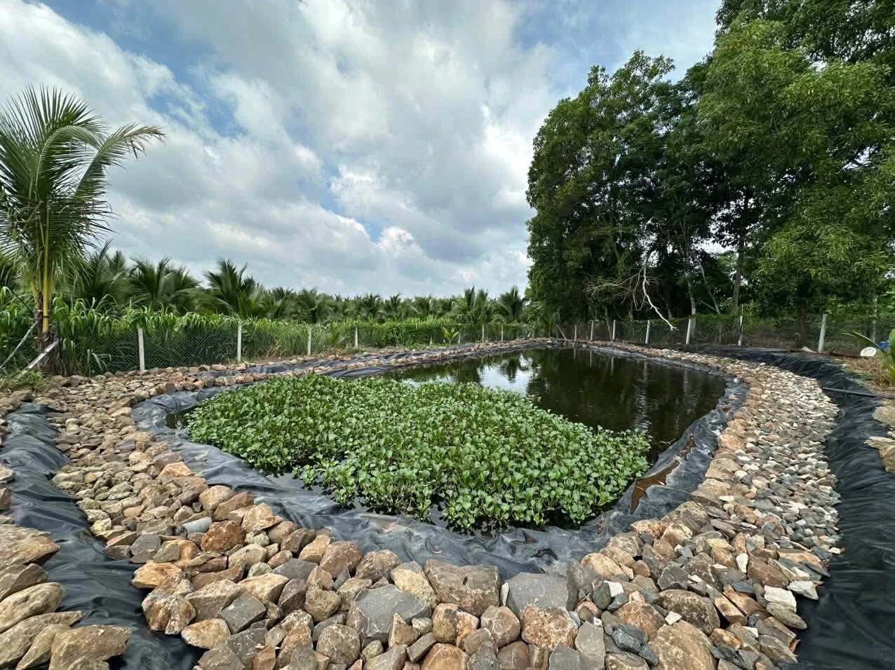 Bán đất 2300m2 view tại Xã Kim Long, Nhà Bè - Ảnh 1