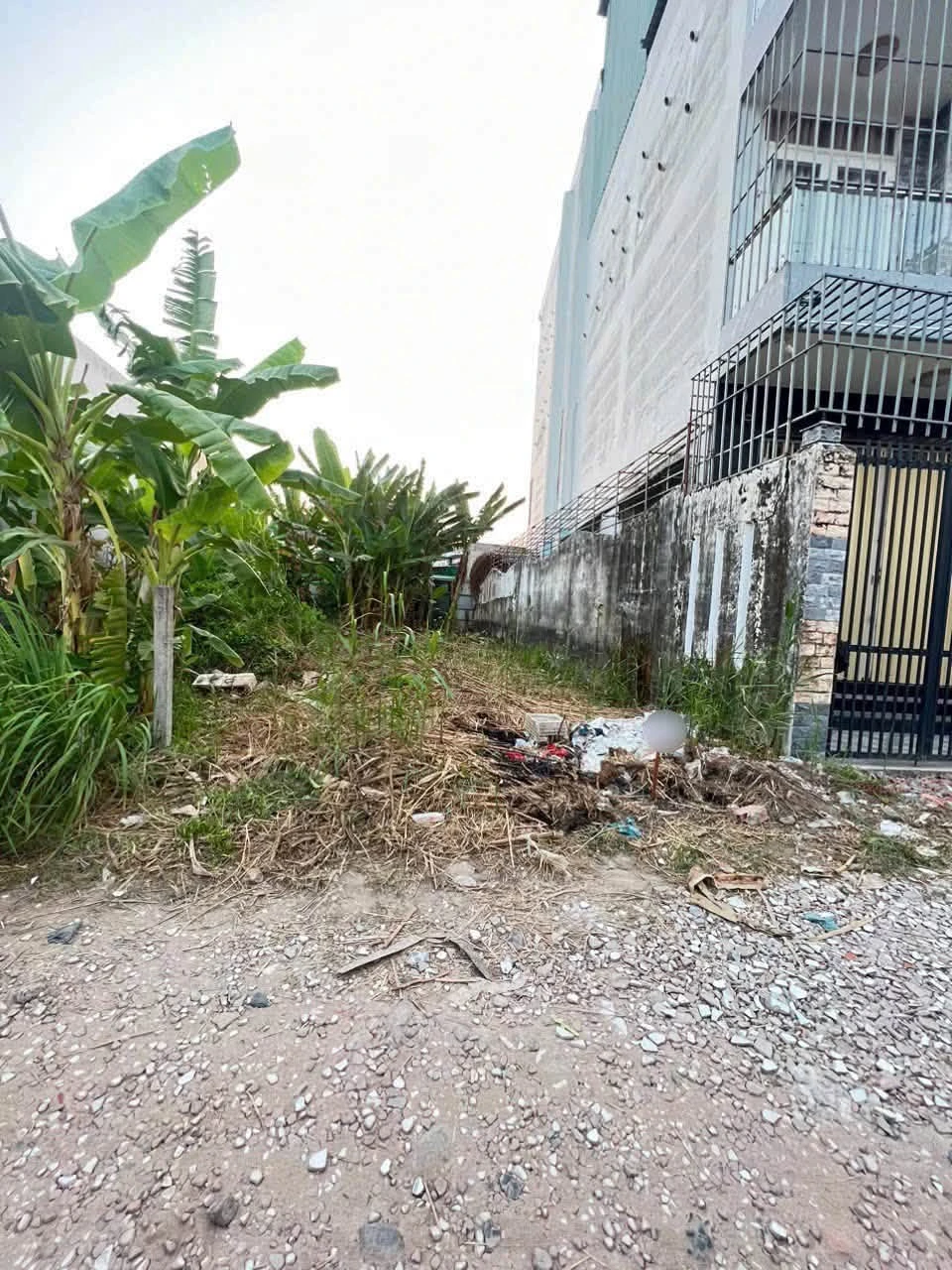 Bán nền đất 99,7m² Hoàng Quốc Việt, Cần Thơ - Ảnh 1