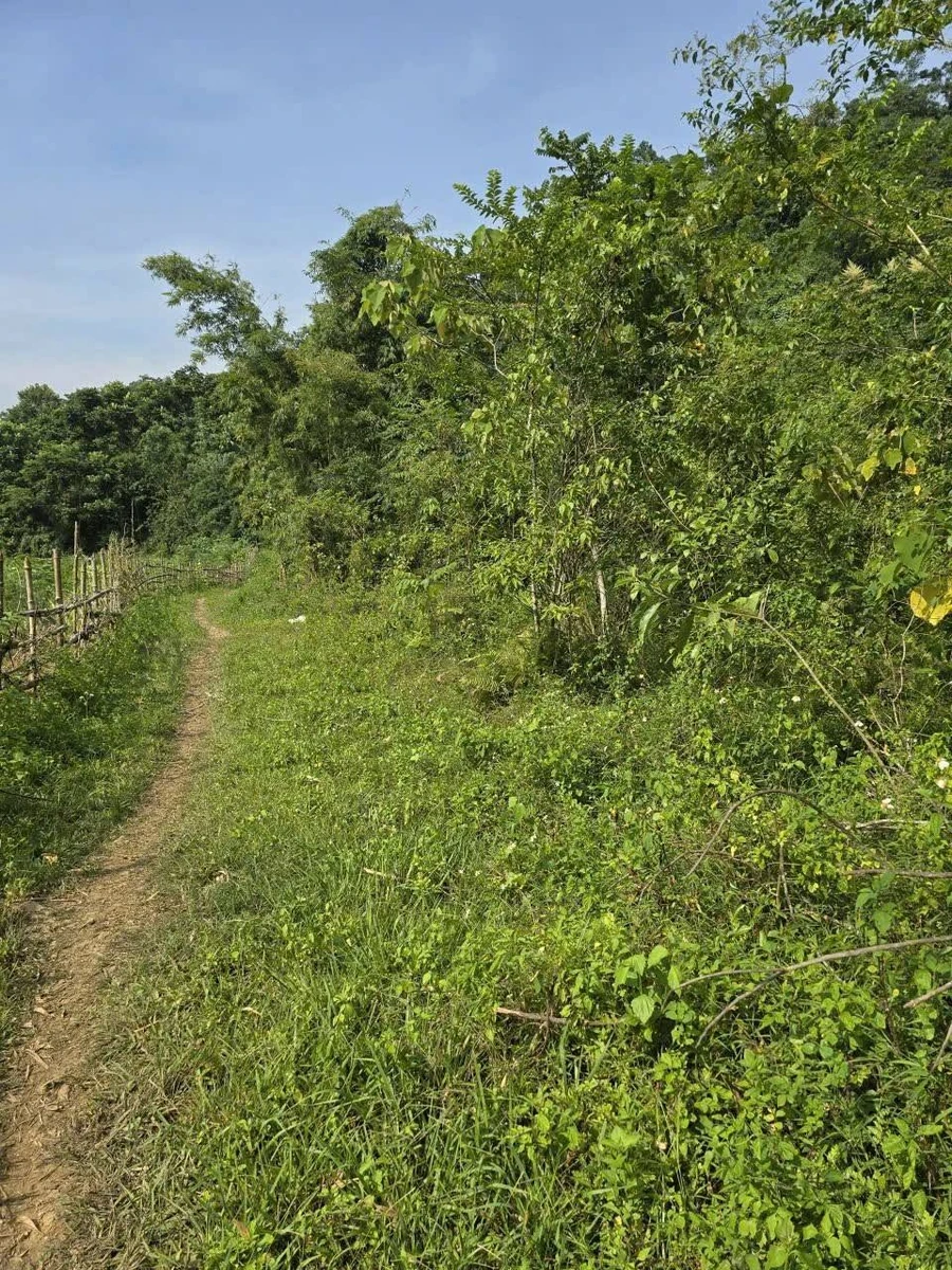 Bán đất nông nghiệp 1,8 ha Kim Bôi Hòa Bình giá 200 triệu - Ảnh thu nhỏ 2