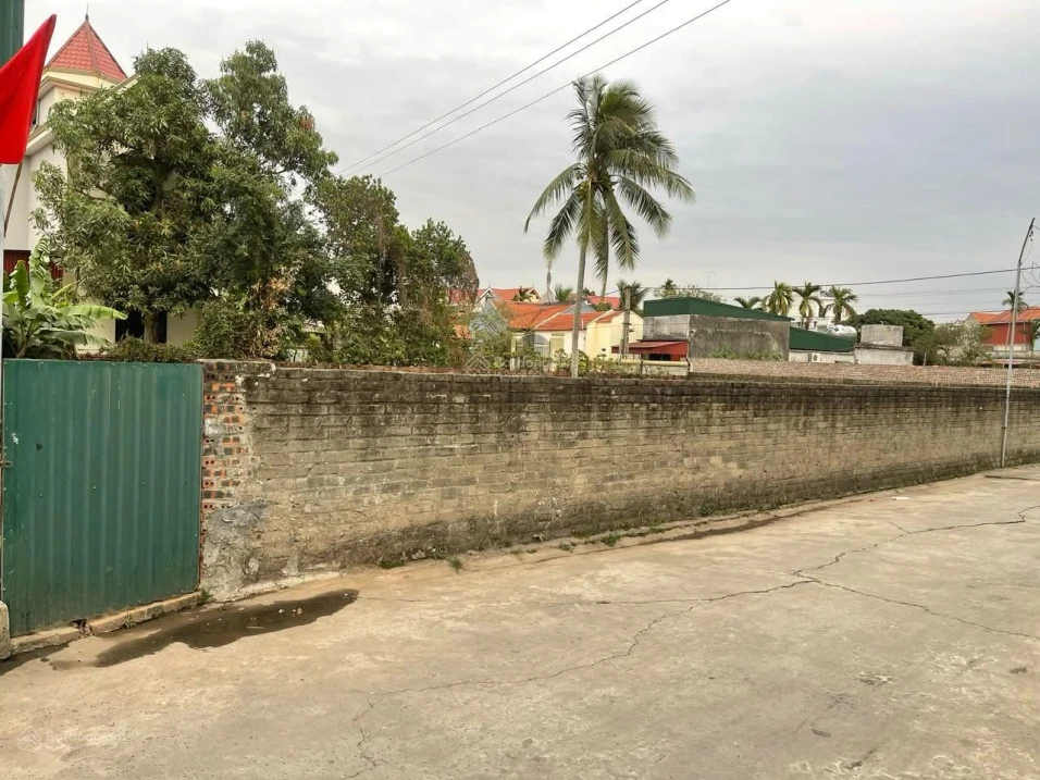 Đất có sổ đỏ đang sử dụng trồng hoa màu - Ảnh 1
