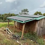 Bán gấp 1 ha đất rẫy mặt tiền đường bê tông tại xã Quảng Tín, Đắk R'Lấp, Đắk Nông - Ảnh thu nhỏ 1