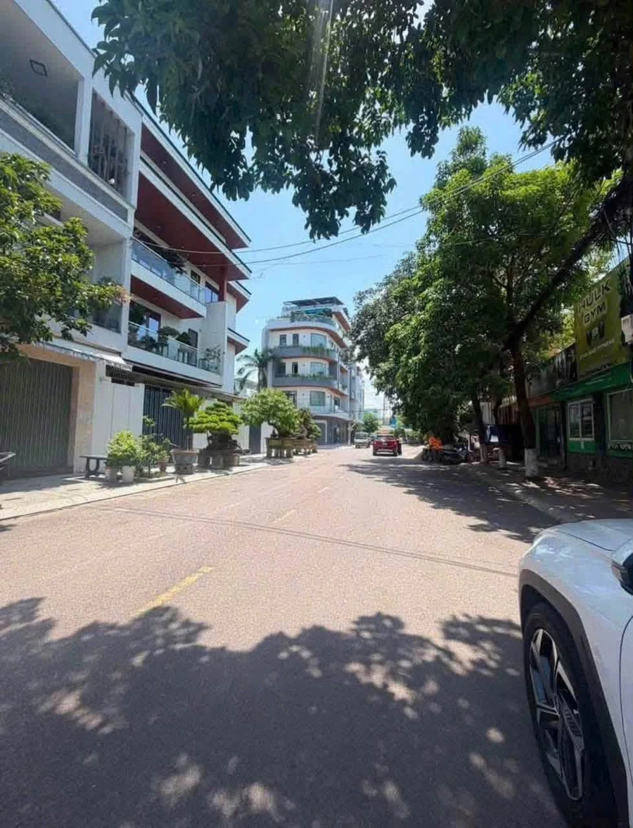 Bán đất mặt tiền Đinh Công Tráng 43.5m2 Quy Nhơn 4 tỷ - Ảnh 1