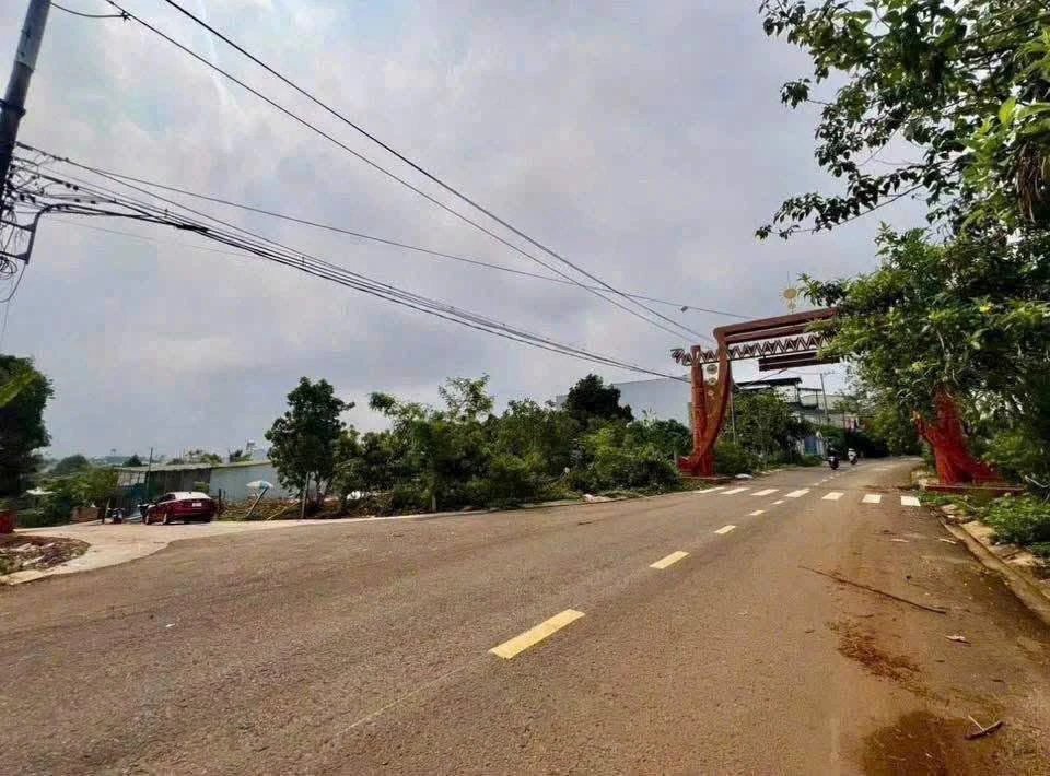 Bán đất hẻm Bùi Dự Pleiku 175m² giá 1 tỷ - Ảnh 1