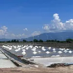 Bán đất ruộng muối 1 hecta Ninh Hải, Khánh Hòa 3 tỷ 350 triệu - Ảnh thu nhỏ 1