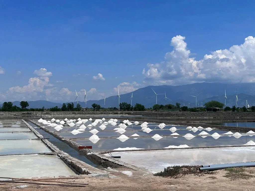 Bán đất ruộng muối 1 hecta Ninh Hải, Khánh Hòa 3 tỷ 350 triệu - Ảnh 1
