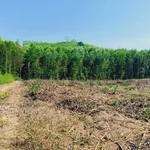 Bán lô đất farm giáp suối 4700m² Nha Trang - Ảnh thu nhỏ 5