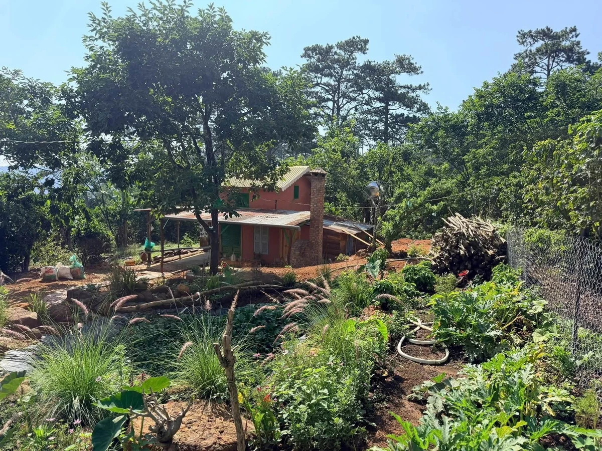 Bán nhà vườn 1000m² tại Đà Lạt, 2 phòng ngủ, 2.3 tỷ - Ảnh thu nhỏ 2