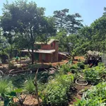 Bán nhà vườn 1000m² tại Đà Lạt, 2 phòng ngủ, 2.3 tỷ - Ảnh thu nhỏ 2