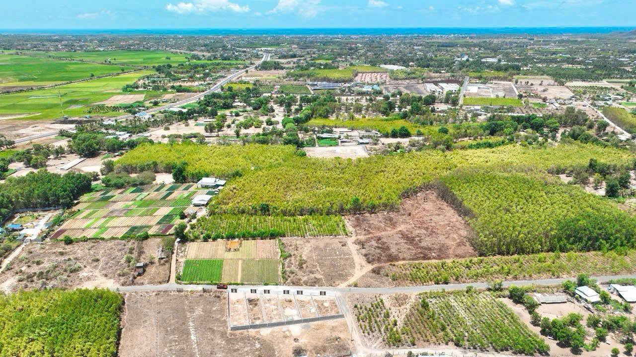 Bán 2 lô đất Phước Hải 180-198m2 gần biển 1 tỷ 550