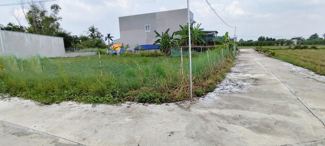Bán đất nền 200m² Xã Phước Vân Long An - Ảnh 1