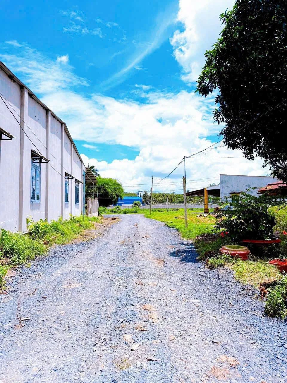 Bán nhà 1 phòng ngủ 50m² Ấp Thanh Bình, Tây Ninh - Ảnh 1