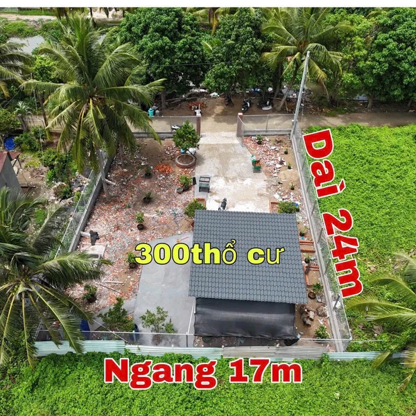 Bán đất kèm vườn 408m2 Châu Thành An Giang 1 tỷ 950 triệu