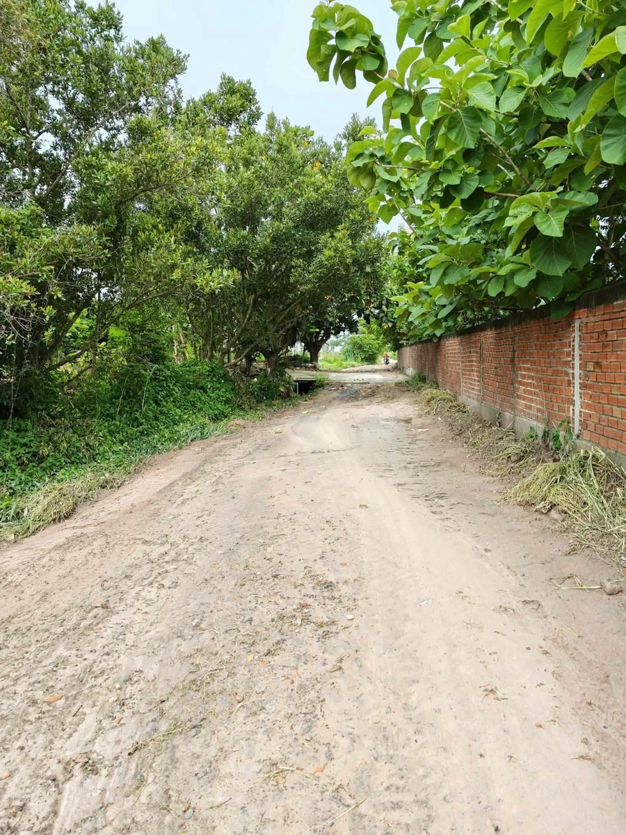 Bán đất trồng cây 600m² Tây Ninh, Phường Bình Minh - Ảnh thu nhỏ 2