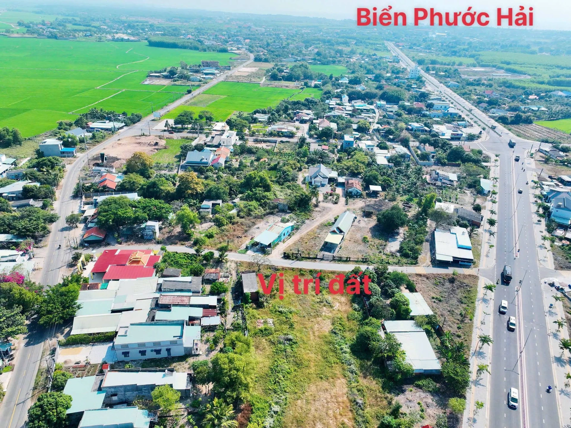Bán 2 lô đất liên kề Phước Hải 136.5m² + 132.2m² giá 1.25 tỷ - Ảnh 1