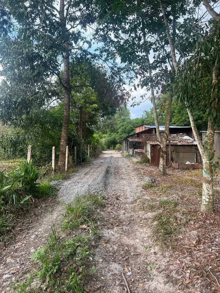 Bán đất Bình Mỹ 562,5m² giá 2,5 tỷ - Ảnh thu nhỏ 3