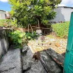Cho thuê nhà 1 PN 200m2 Chánh Mỹ Thủ Dầu Một - Ảnh thu nhỏ 4