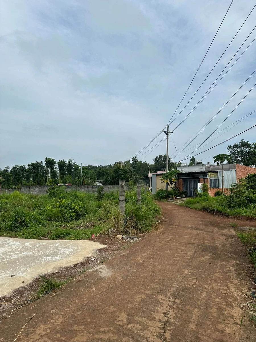 Bán đất Xuân Lộc 250m² view núi 490 triệu - Ảnh thu nhỏ 3