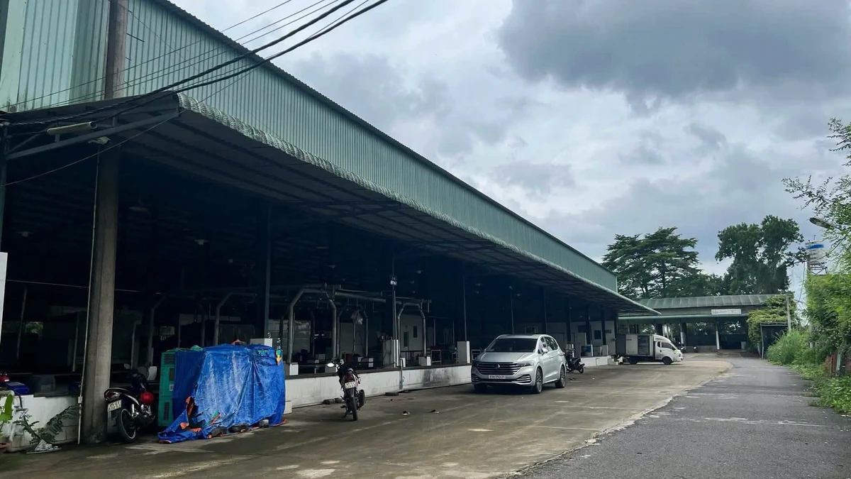 Cho thuê nhà xưởng 28.000m² lò mổ gia cầm Trảng Bom, Đồng Nai - Ảnh thu nhỏ 2