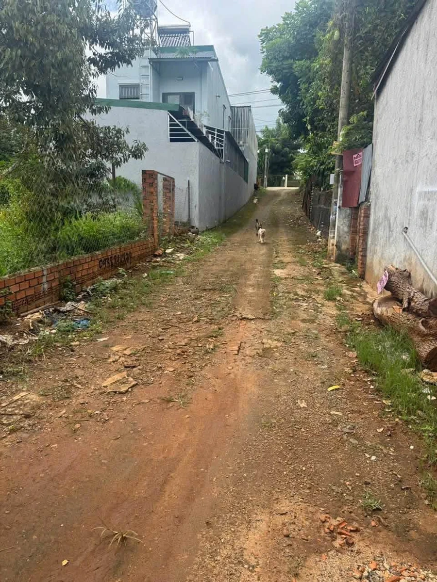 Bán đất thổ cư 169m² hẻm Võ Thị Sáu, Quận 1, 4 tỷ 480 triệu - Ảnh thu nhỏ 2