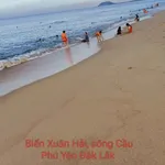 Bán lô đất thổ cư 125m2 gần biển Xuân Hải, Xuân Lộc, Sông Cầu giá 950 triệu - Ảnh thu nhỏ 2
