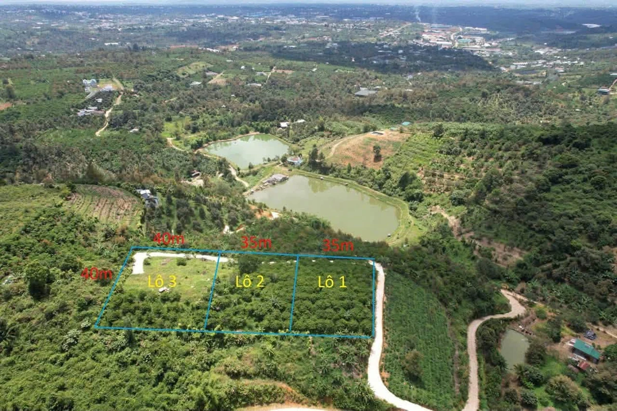 Bán đất nền 3533m² Lâm Đồng, 2,6 tỷ, view đẹp - Ảnh 1