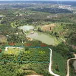 Bán đất nền 3533m² Lâm Đồng, 2,6 tỷ, view đẹp - Ảnh thu nhỏ 1