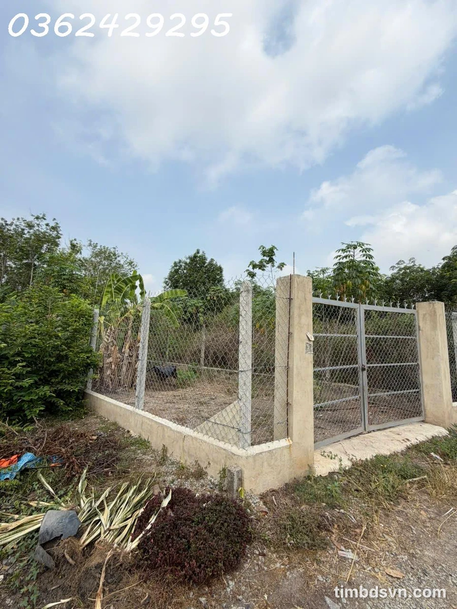 Bán đất 217.7m2 có thổ cư xã Thanh Tuyền, huyện Dầu Tiếng, Bình Dương chỉ với giá siêu hời 1,2 tỷ - Ảnh thu nhỏ 3