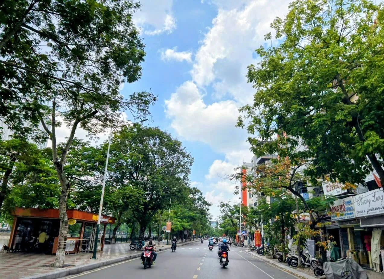Bán nhà phố 4 tầng phân lô 46m², 4 tỷ, gần phố đi bộ, Nguyễn Đức Cảnh - Ảnh 1