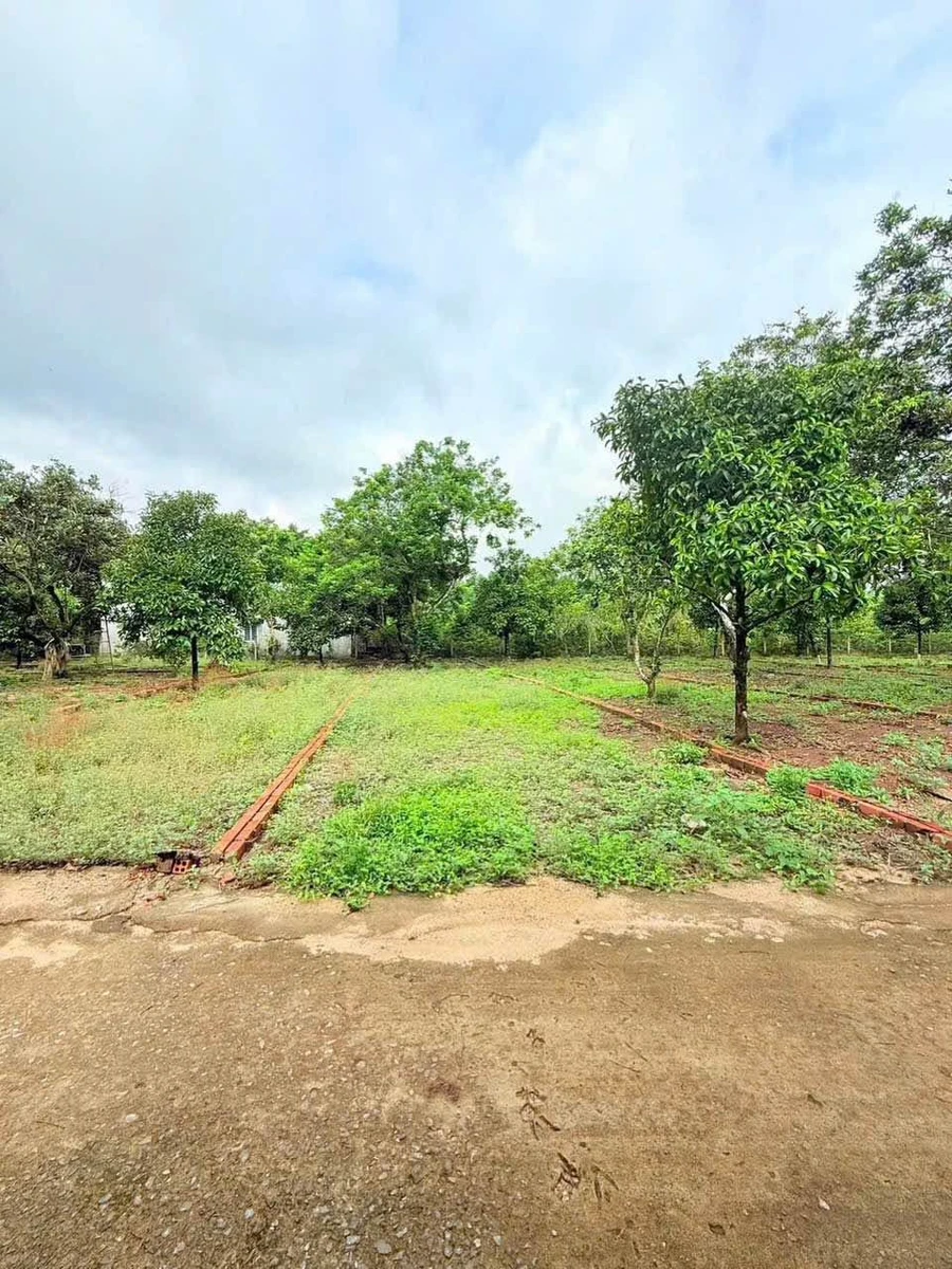 Bán nền đất 5×31m (155m²) full thổ cư tại Bảo Vinh, 730 triệu - Ảnh 1