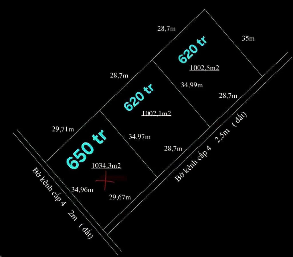 Bán đất vườn 1000 m² tại Thủ Thừa, Long An - Ảnh 1