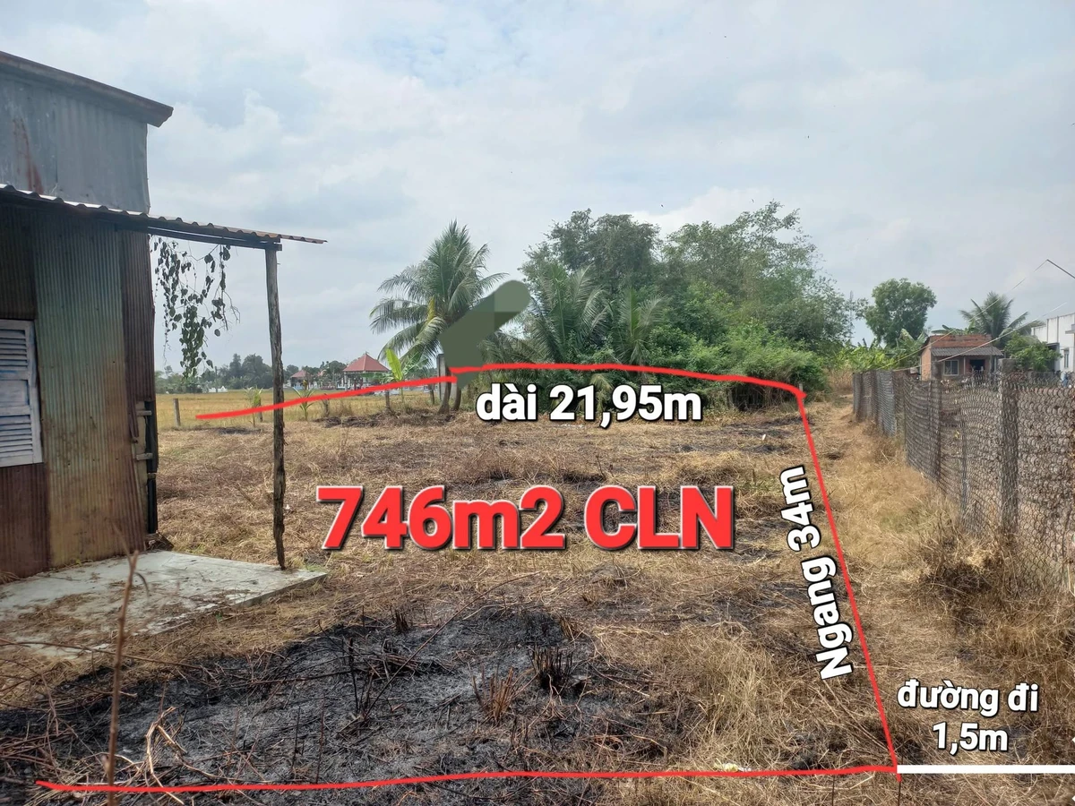 Bán đất vườn 746m2 tại Xã Mỹ Lệ Long An - Ảnh 1