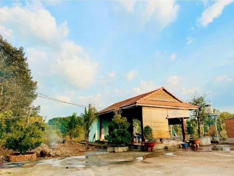 Bán lô đất 1.535m2 tặng nhà vườn An Điền 3 tỷ - Ảnh thu nhỏ 2