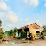Bán lô đất 1.535m2 tặng nhà vườn An Điền 3 tỷ - Ảnh thu nhỏ 2