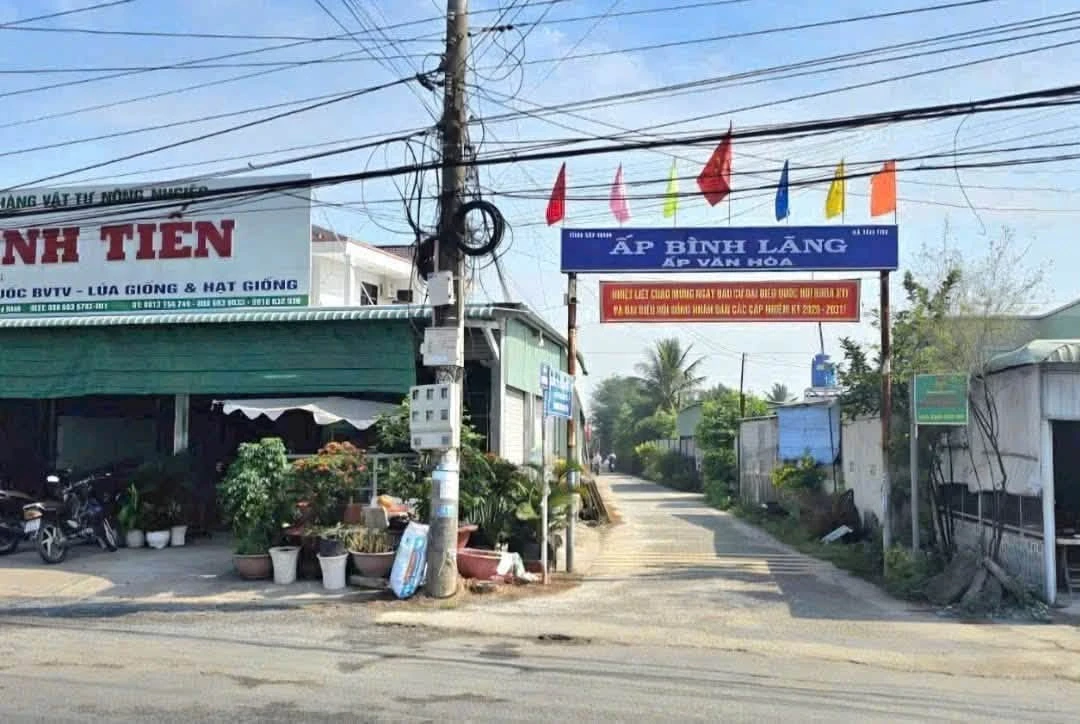 Bán đất thổ cư Bình Lãng, Tân Trụ - 5x28,5m và 6x30m - Ảnh thu nhỏ 5