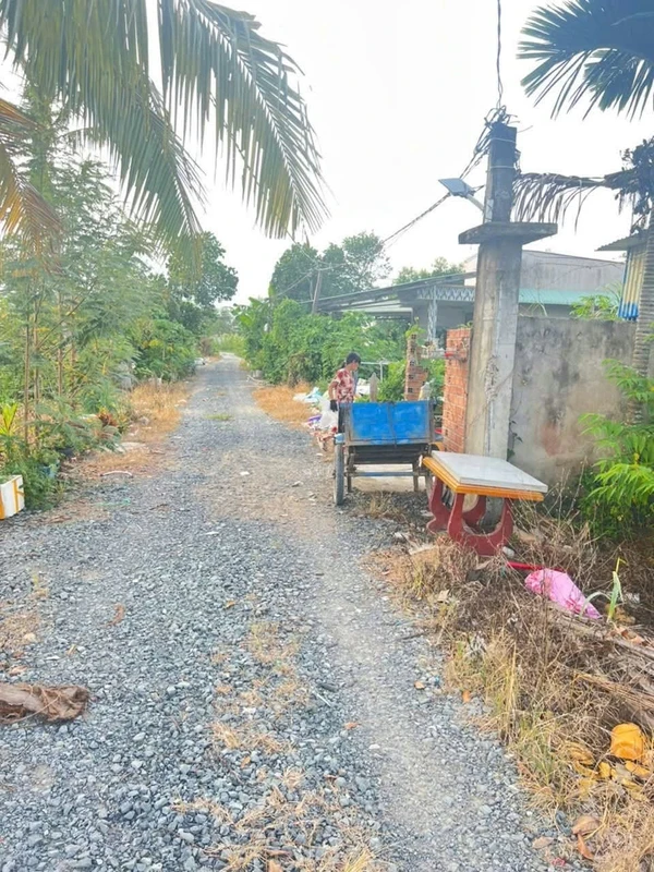Bán 2 nền đất thổ cư Hựu Thạnh, 800 triệu/nền