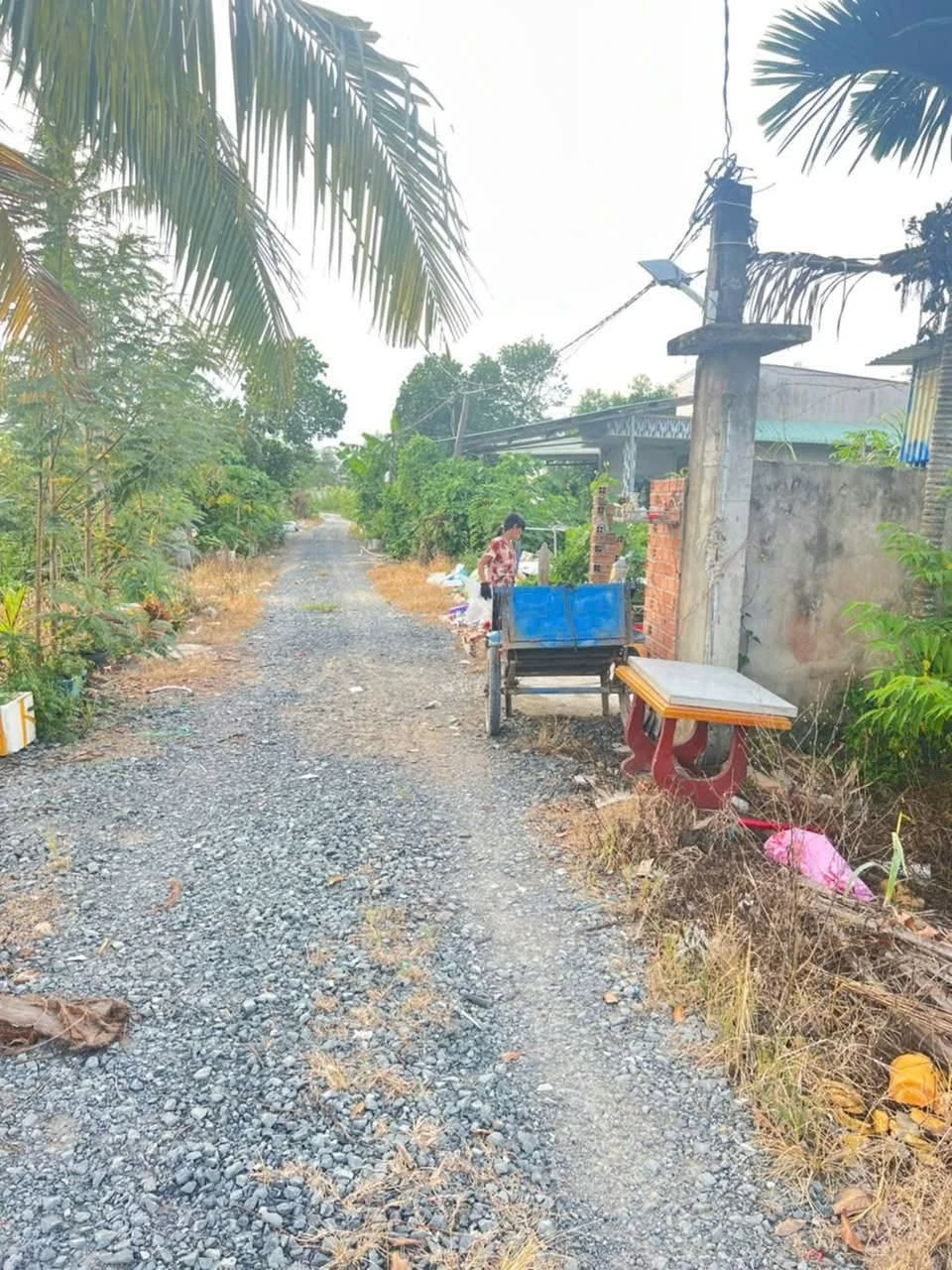 Bán 2 nền đất thổ cư Hựu Thạnh, 800 triệu/nền - Ảnh 1