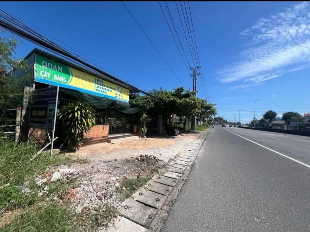 Bán đất mặt tiền Quốc lộ 51 Phú Mỹ 1800m2 - Ảnh 1