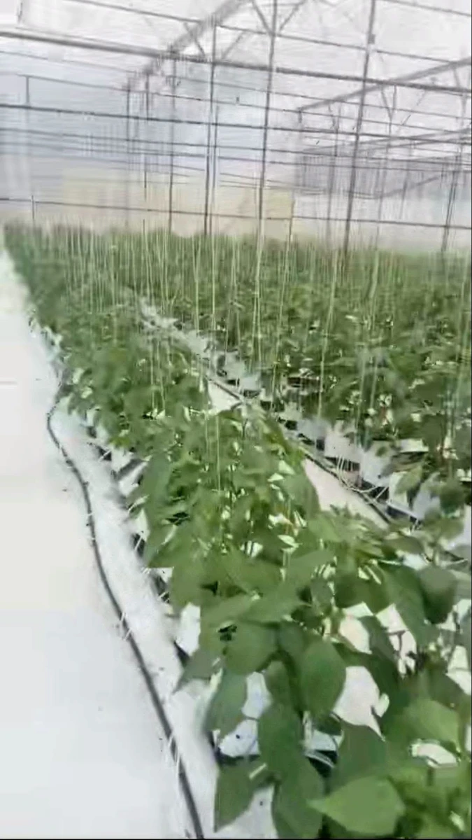 Bán lô đất vườn 9 sào tại Gia Lâm, Lâm Đồng, 400m2 đất ở - Ảnh thu nhỏ 5