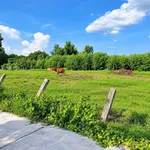 Bán 1.000m² đất vườn mặt tiền bê tông Hàm Liêm 420 triệu - Ảnh thu nhỏ 2