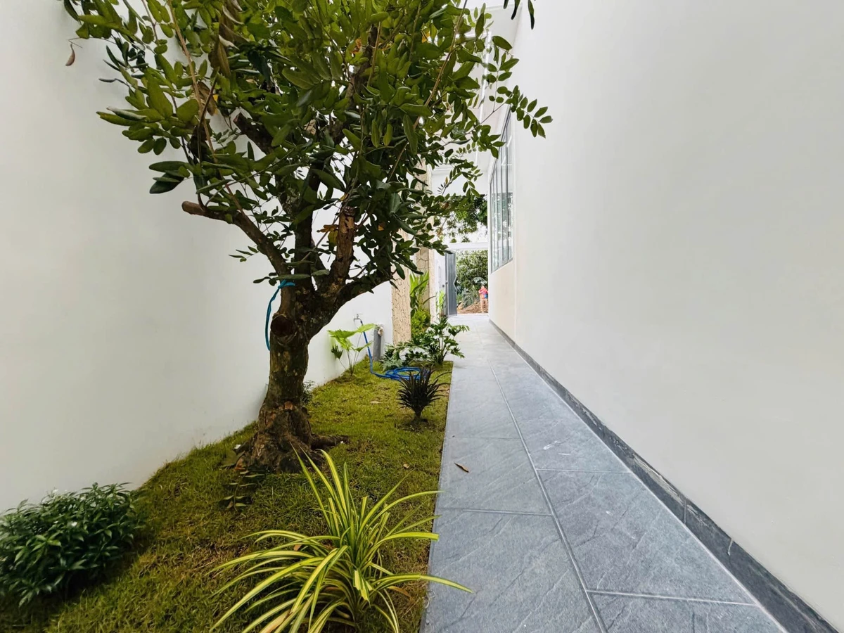 Bán villa sân vườn mini 7,3x21m 4PN gần chợ Hưng Long, Phước Lý, Cần Giuộc - Ảnh thu nhỏ 5
