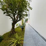 Bán villa sân vườn mini 7,3x21m 4PN gần chợ Hưng Long, Phước Lý, Cần Giuộc - Ảnh thu nhỏ 5