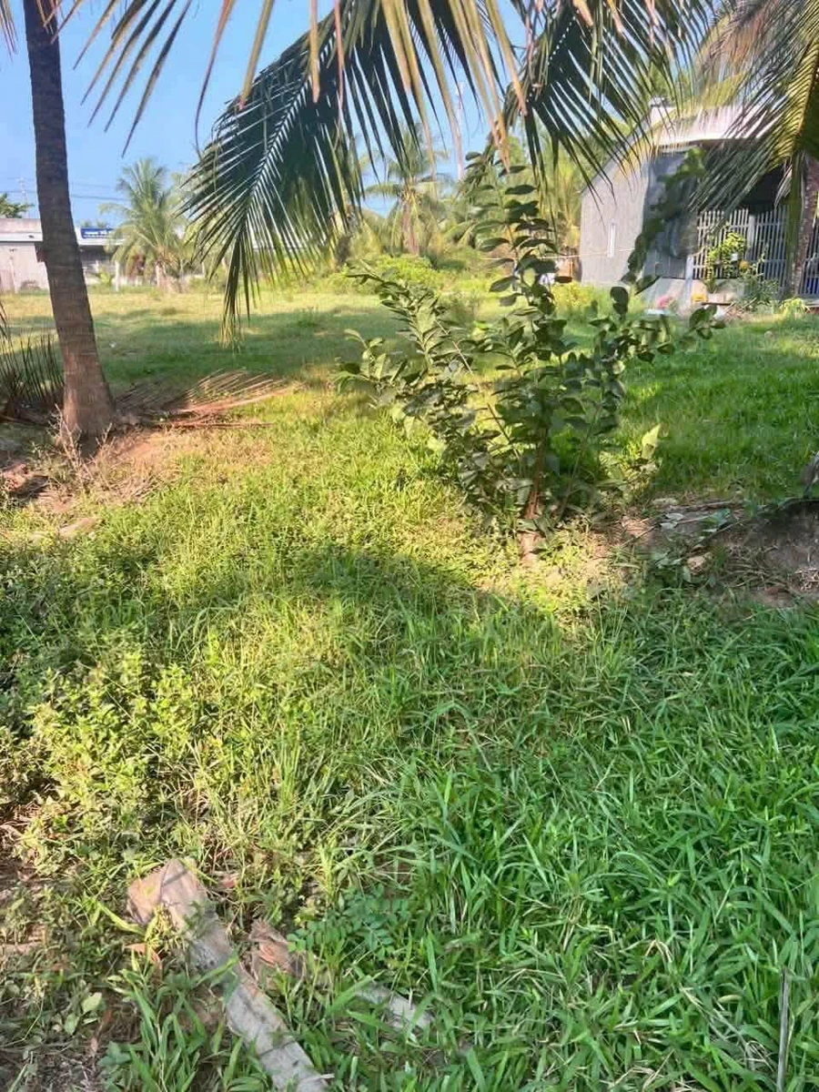 Bán đất nền 10×47m, 600 triệu ở Vĩnh Long - Ảnh thu nhỏ 2