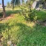 Bán đất nền 10×47m, 600 triệu ở Vĩnh Long - Ảnh thu nhỏ 2
